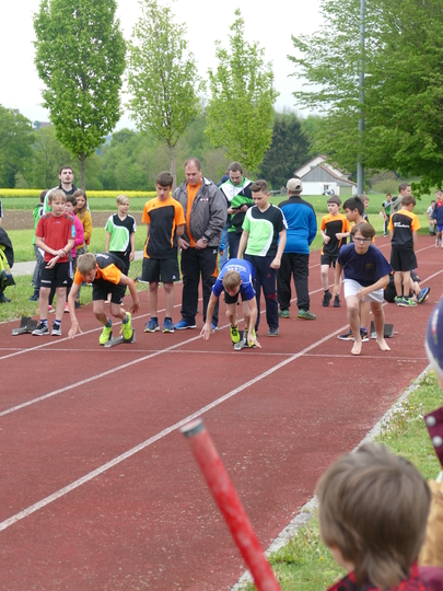 P1030298.jpg
