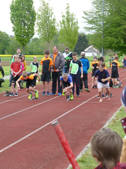 P1030299.jpg