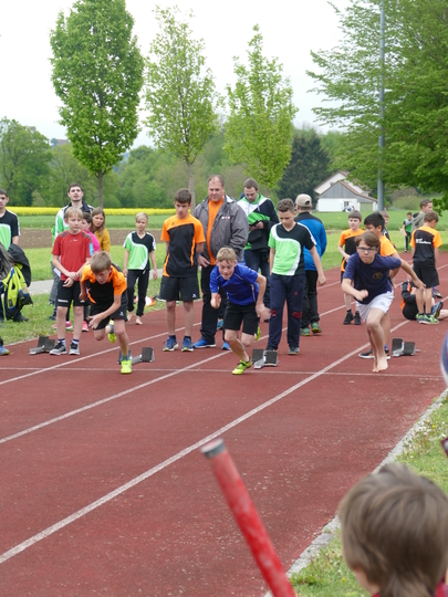 P1030302.jpg