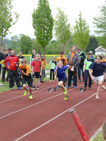 P1030307.jpg