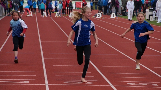 DSC08465.jpg