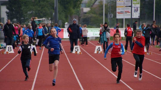 DSC08485.jpg