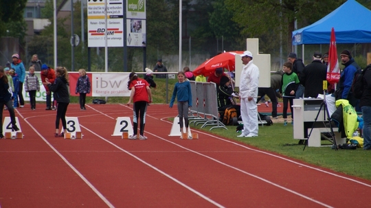 DSC08507.jpg