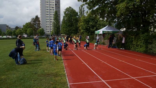 DSC08581.jpg