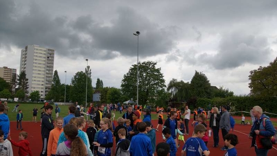 DSC08597.jpg