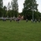 DSC08562.jpg