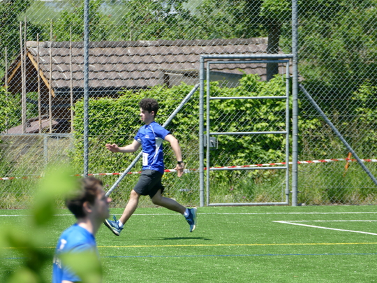 P1030327.jpg