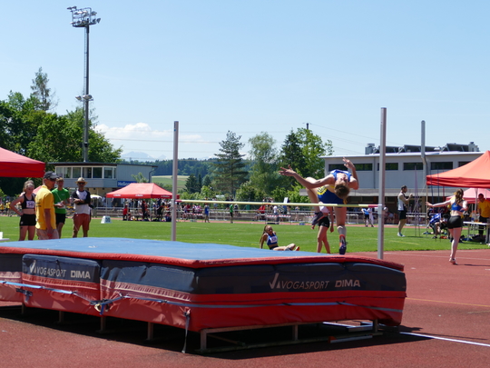P1030337.jpg