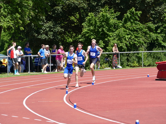 P1030350.jpg
