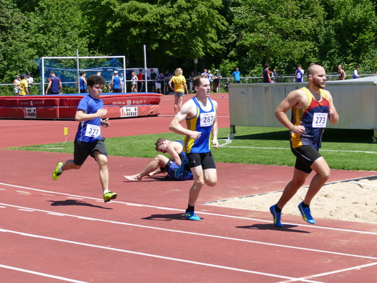 P1030353.jpg