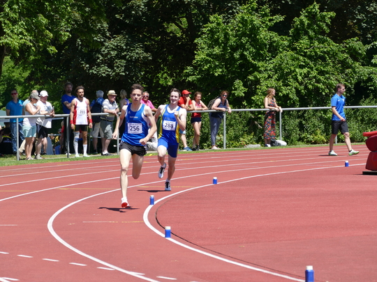 P1030354.jpg