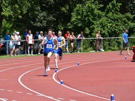 P1030356.jpg