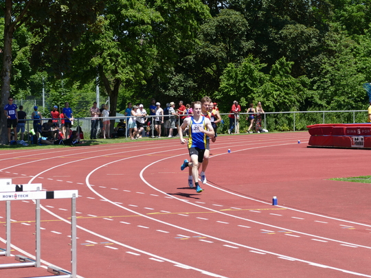 P1030365.jpg
