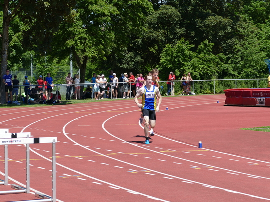 P1030366.jpg