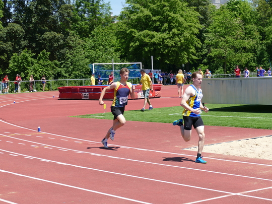 P1030368.jpg