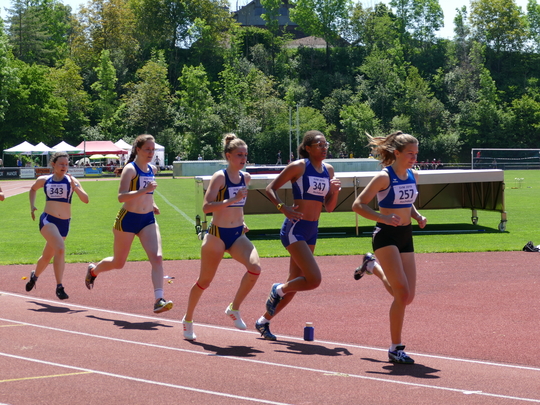P1030381.jpg