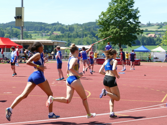 P1030383.jpg