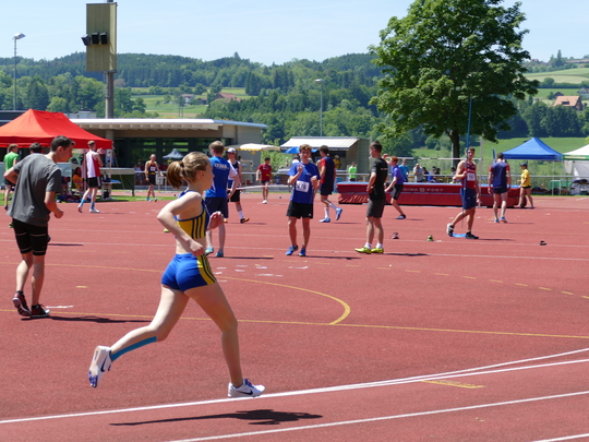 P1030386.jpg