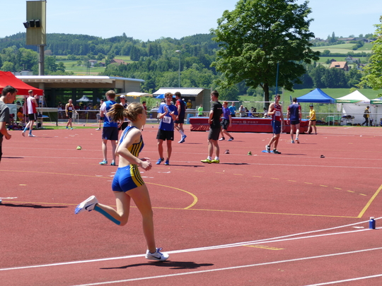 P1030387.jpg