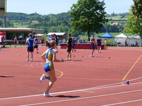 P1030388.jpg
