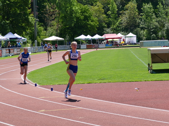 P1030410.jpg