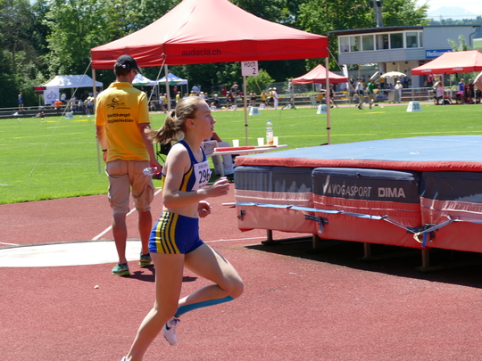 P1030412.jpg