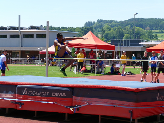 P1030415.jpg