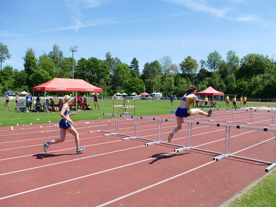 P1030491.jpg