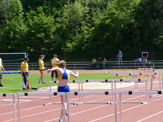 P1030510.jpg