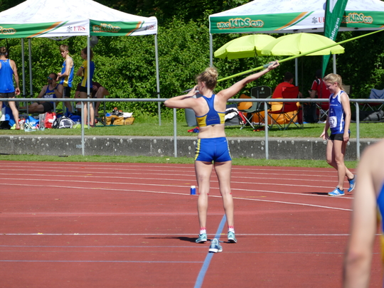 P1030591.jpg