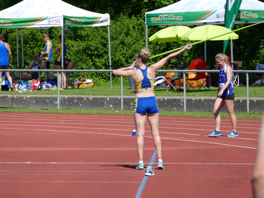 P1030593.jpg