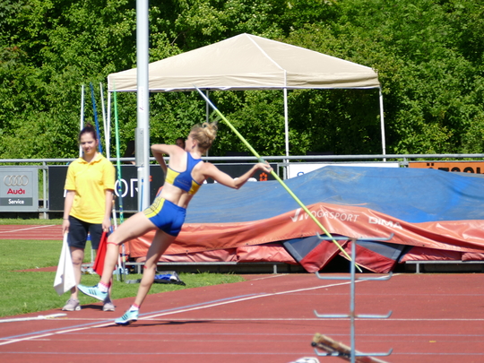 P1030596.jpg