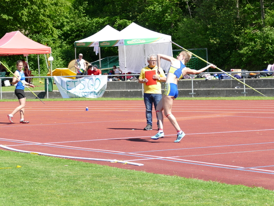 P1030613.jpg
