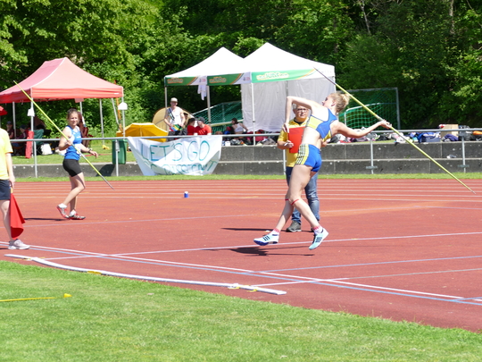 P1030614.jpg