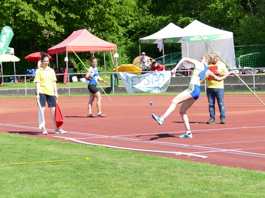 P1030616.jpg