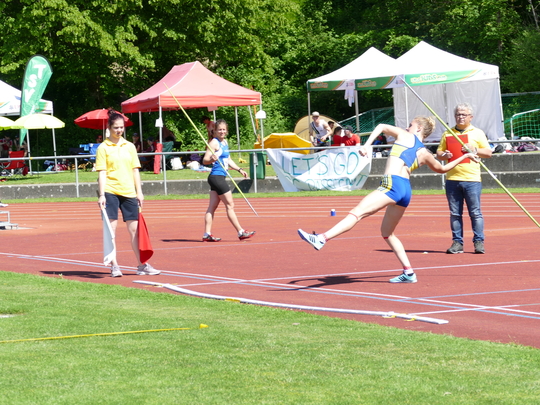 P1030617.jpg