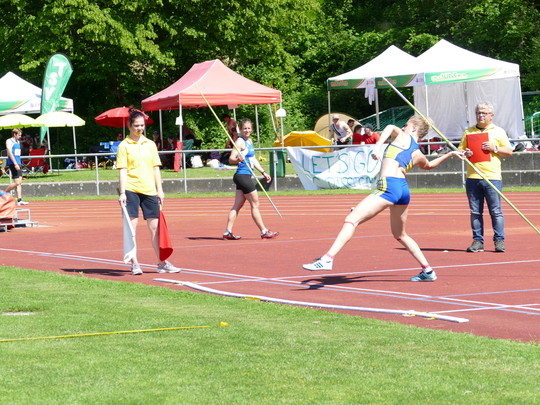 P1030618.jpg