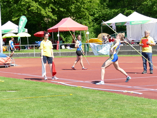 P1030619.jpg