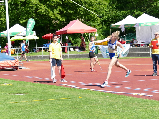 P1030622.jpg