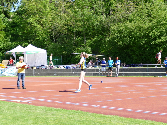 P1030626.jpg