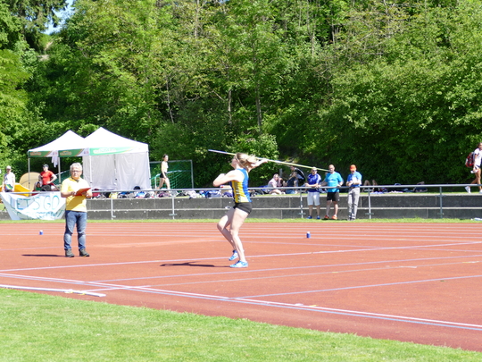 P1030627.jpg