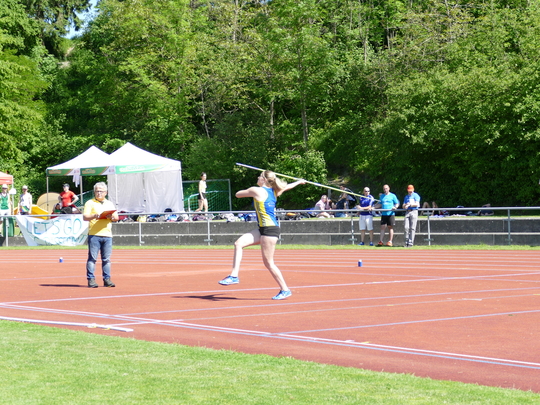 P1030628.jpg