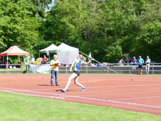 P1030633.jpg