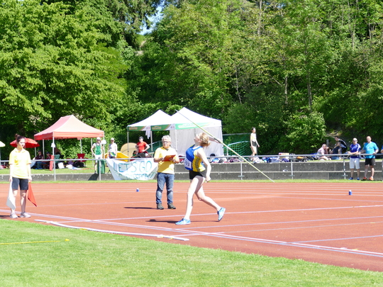 P1030635.jpg