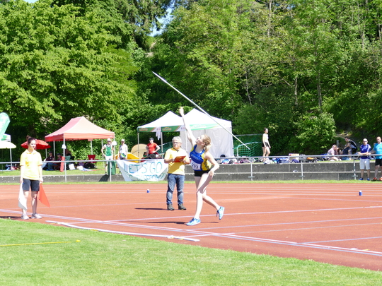 P1030636.jpg