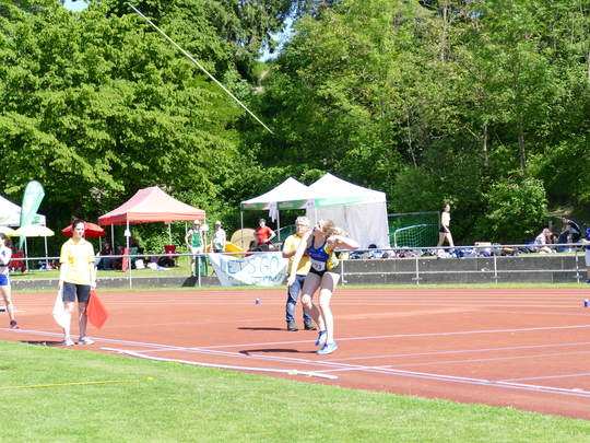 P1030638.jpg