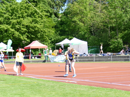 P1030639.jpg