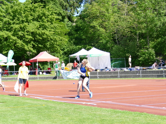 P1030641.jpg