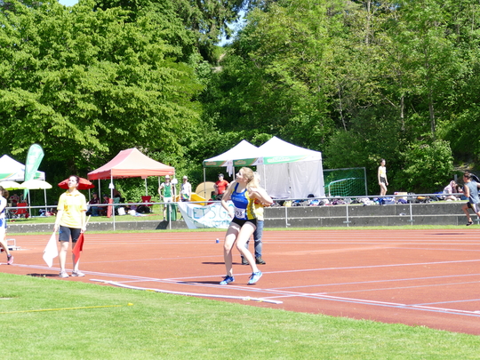P1030642.jpg