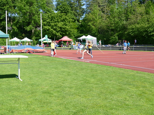 P1030647.jpg